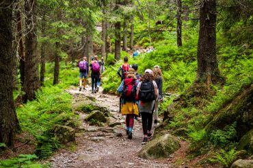 Young hikers in forest heading towards High Tatras peak