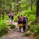 Young hikers in forest heading towards High Tatras peak